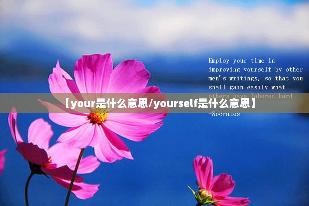 【your是什么意思/yourself是什么意思】