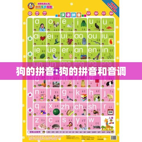 狗的拼音:狗的拼音和音调