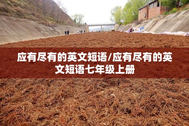 应有尽有的英文短语/应有尽有的英文短语七年级上册