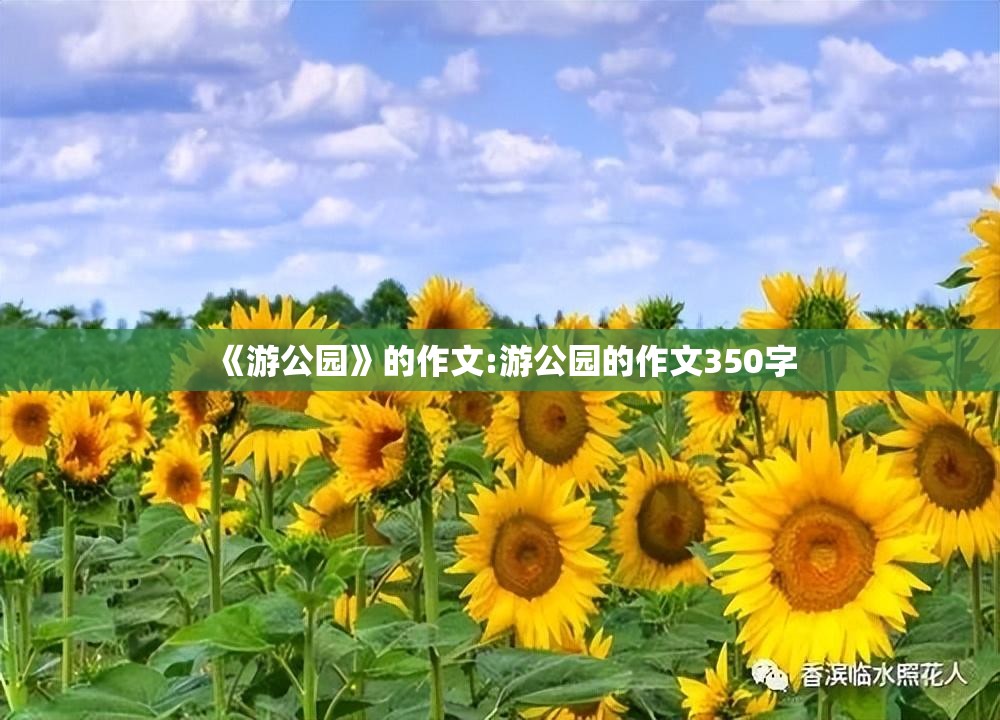 《游公园》的作文:游公园的作文350字