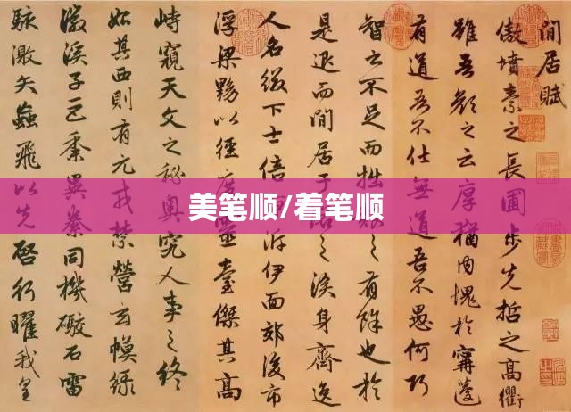 美笔顺/着笔顺