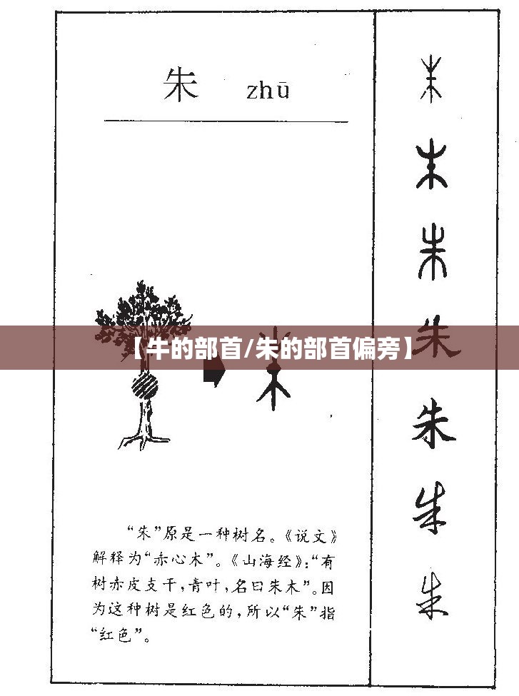 【牛的部首/朱的部首偏旁】