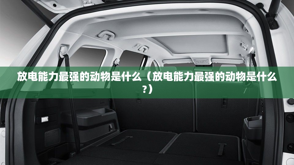 放电能力最强的动物是什么（放电能力最强的动物是什么?）