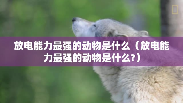 放电能力最强的动物是什么（放电能力最强的动物是什么?）