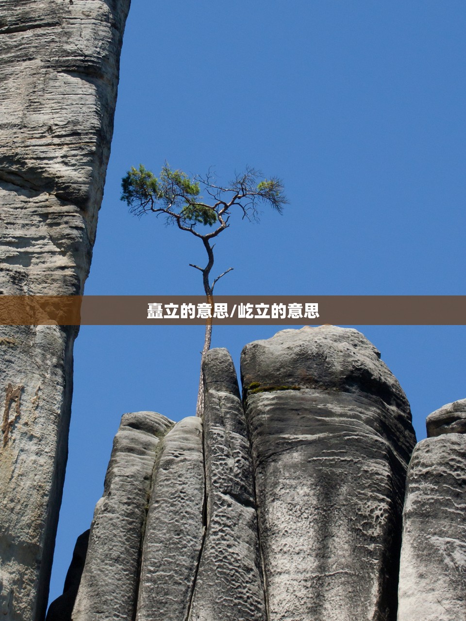 矗立的意思/屹立的意思