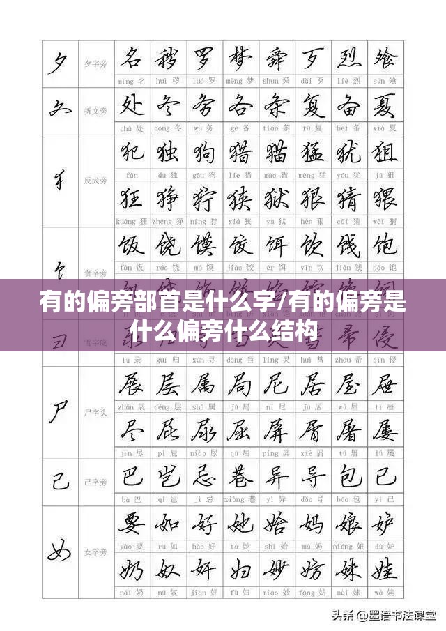 有的偏旁部首是什么字/有的偏旁是什么偏旁什么结构