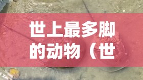 世上最多脚的动物（世界上最多脚的虫子是什么虫）