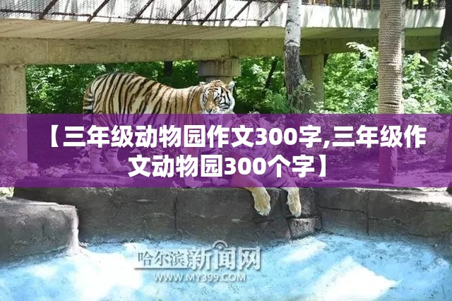 【三年级动物园作文300字,三年级作文动物园300个字】