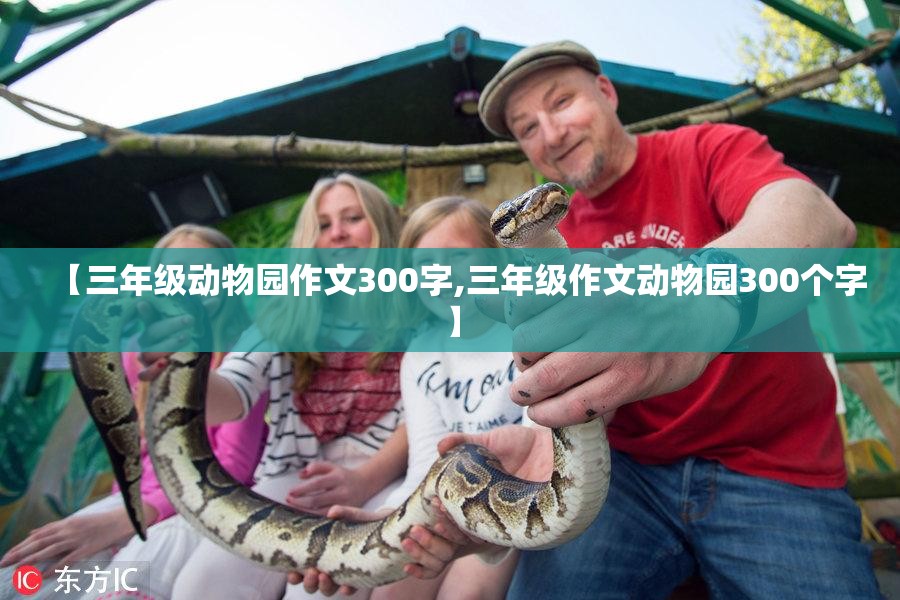 【三年级动物园作文300字,三年级作文动物园300个字】