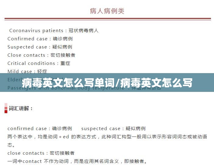 病毒英文怎么写单词/病毒英文怎么写