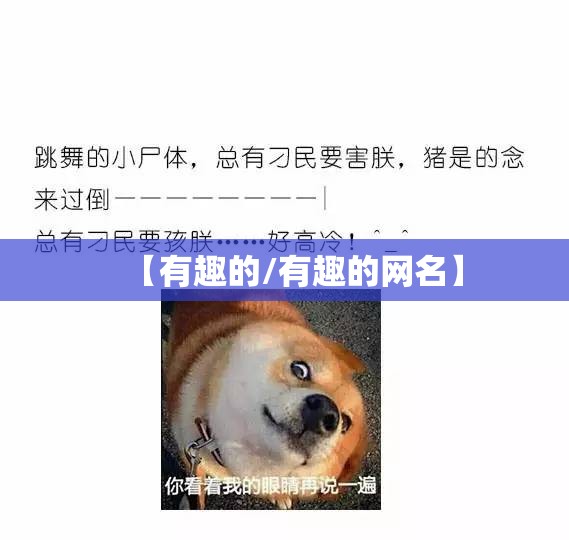 【有趣的/有趣的网名】