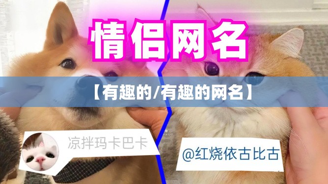 【有趣的/有趣的网名】