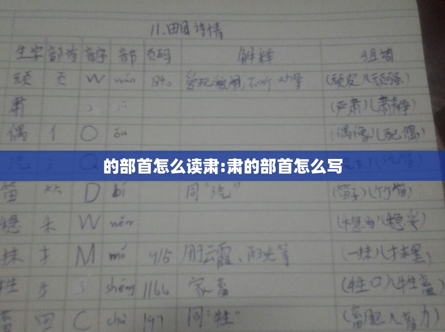 的部首怎么读肃:肃的部首怎么写