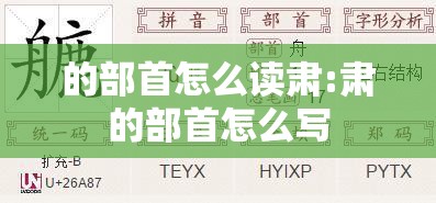 的部首怎么读肃:肃的部首怎么写