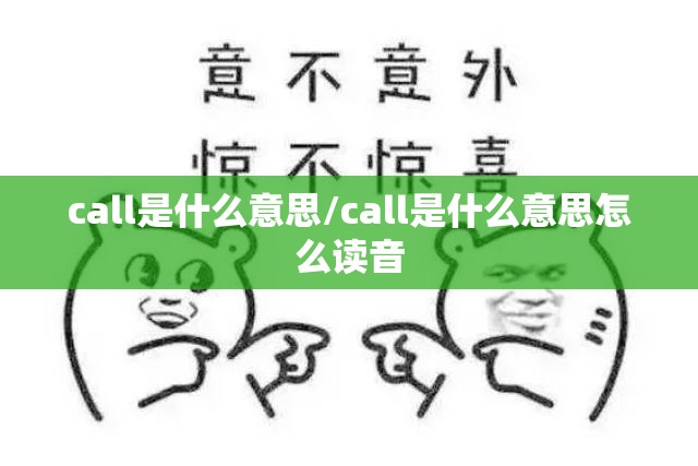 call是什么意思/call是什么意思怎么读音
