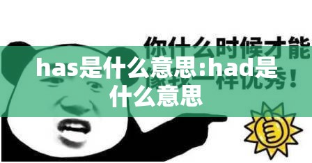 has是什么意思:had是什么意思