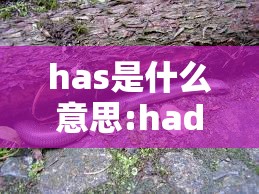 has是什么意思:had是什么意思