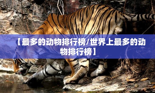 【最多的动物排行榜/世界上最多的动物排行榜】