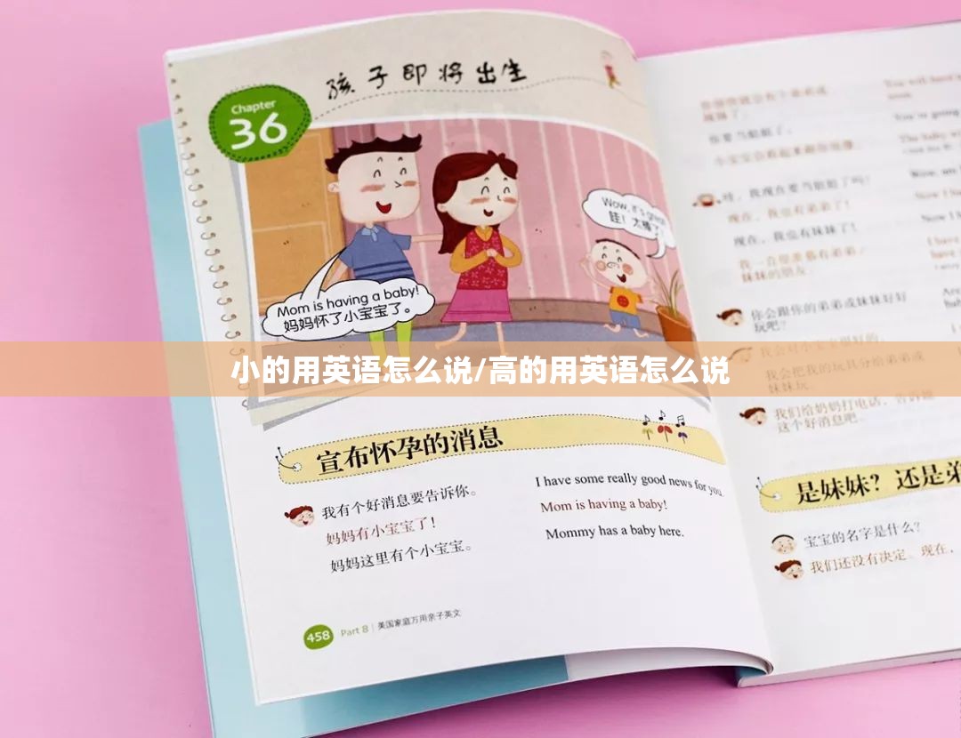 小的用英语怎么说/高的用英语怎么说