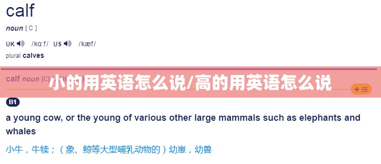 小的用英语怎么说/高的用英语怎么说