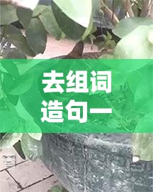 去组词造句一年级简单/去怎么组词造句一年级