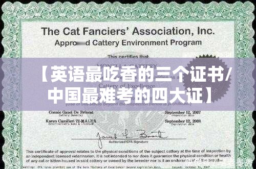 【英语最吃香的三个证书/中国最难考的四大证】