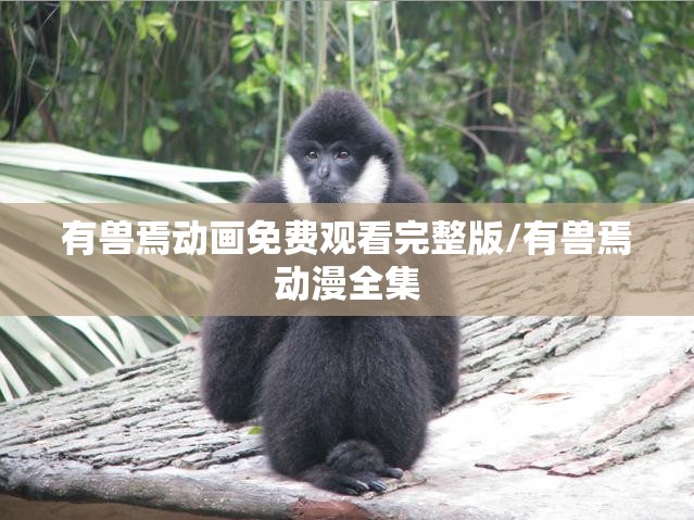 有兽焉动画免费观看完整版/有兽焉动漫全集