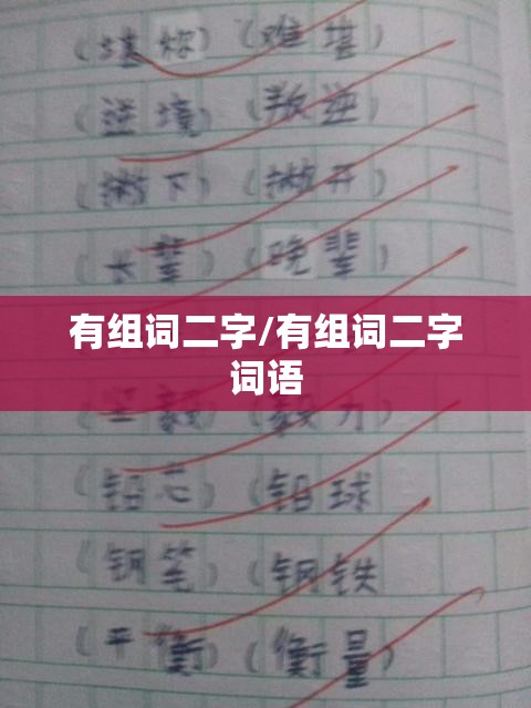有组词二字/有组词二字词语
