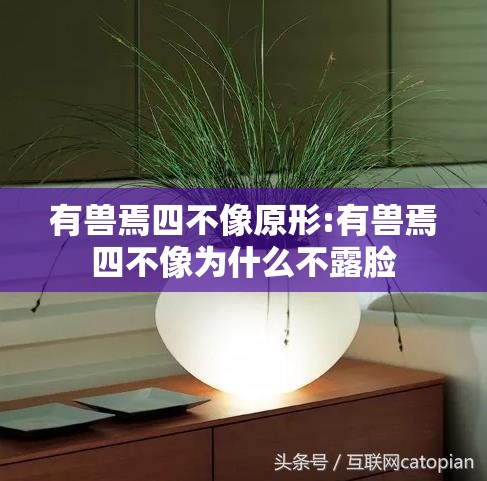 有兽焉四不像原形:有兽焉四不像为什么不露脸
