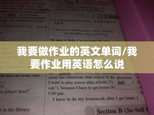 我要做作业的英文单词/我要作业用英语怎么说