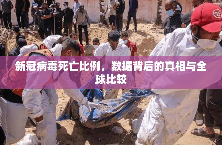 新冠病毒死亡比例，数据背后的真相与全球比较