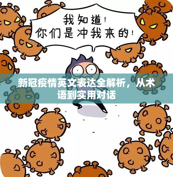 新冠疫情英文表达全解析，从术语到实用对话