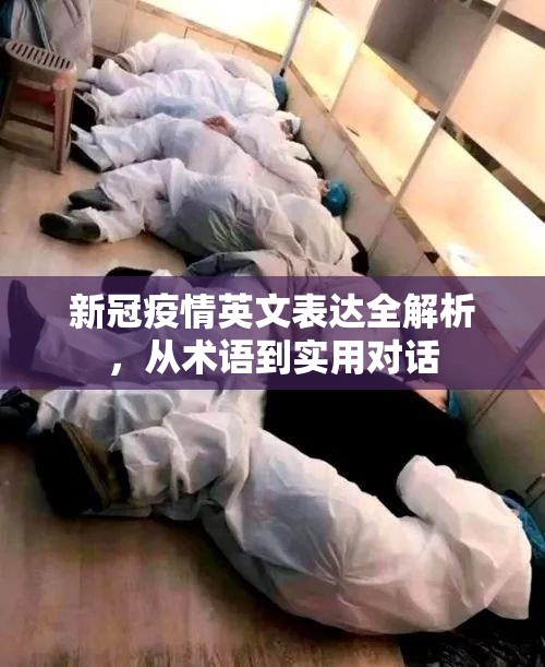 新冠疫情英文表达全解析，从术语到实用对话