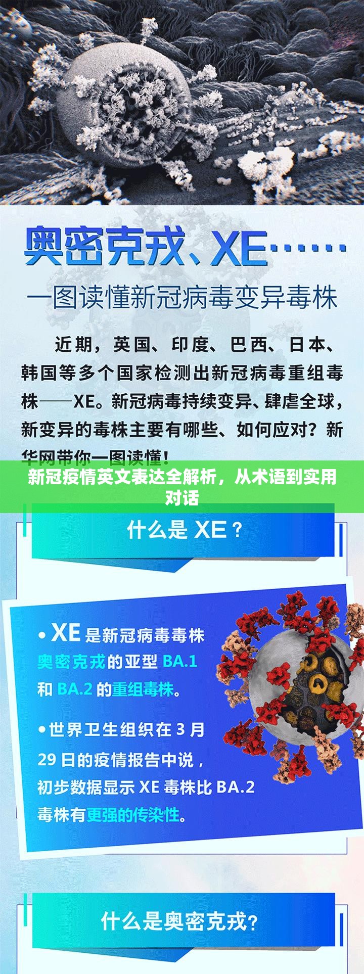 对什么有帮助的英文/对什么有帮助的英文词组