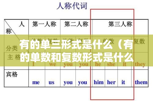 有的单三形式是什么（有的单数和复数形式是什么）