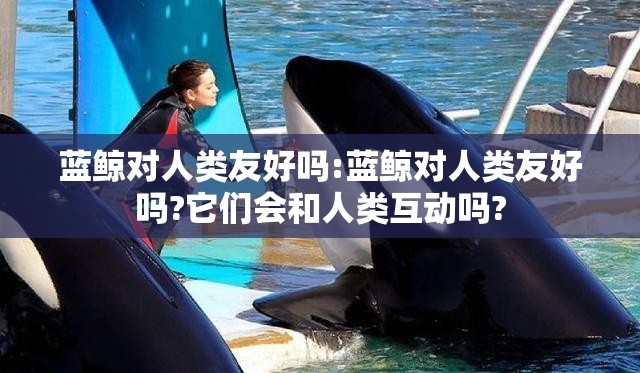蓝鲸对人类友好吗:蓝鲸对人类友好吗?它们会和人类互动吗?