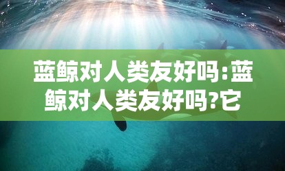 蓝鲸对人类友好吗:蓝鲸对人类友好吗?它们会和人类互动吗?