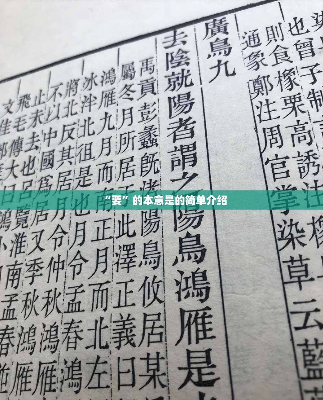 “要”的本意是的简单介绍
