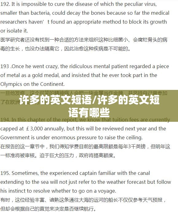 许多的英文短语/许多的英文短语有哪些