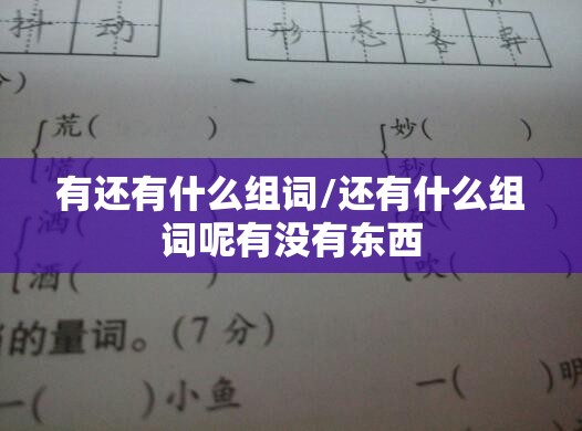 有还有什么组词/还有什么组词呢有没有东西