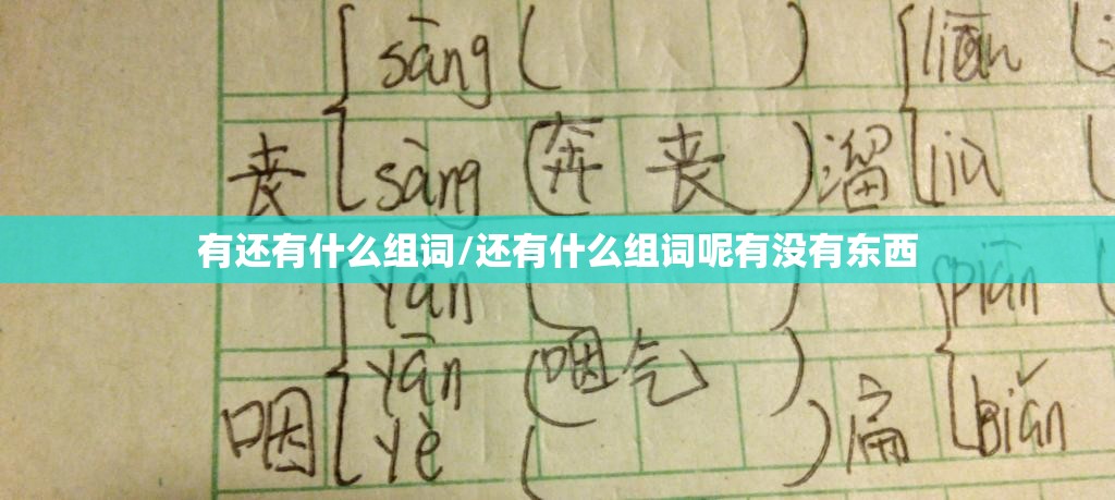 有还有什么组词/还有什么组词呢有没有东西
