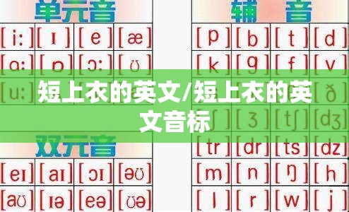 短上衣的英文/短上衣的英文音标