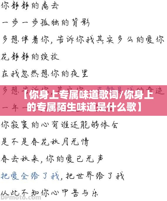 【你身上专属味道歌词/你身上的专属陌生味道是什么歌】