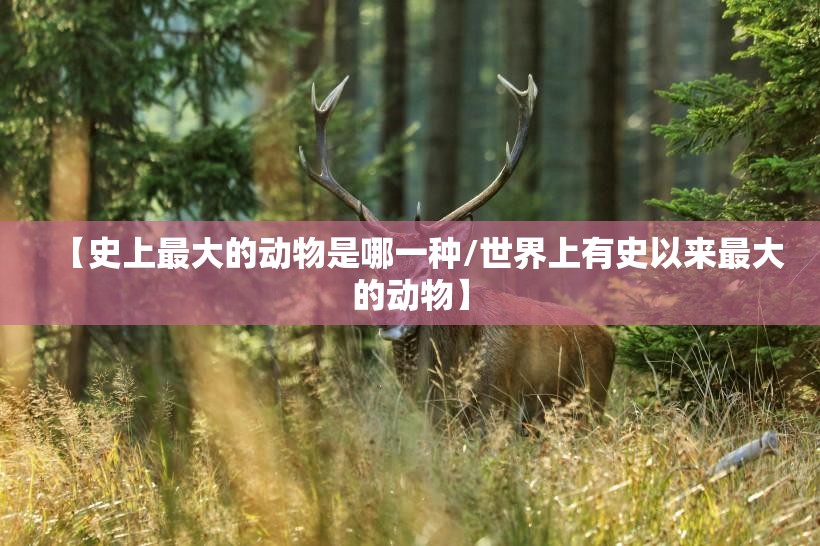 【史上最大的动物是哪一种/世界上有史以来最大的动物】