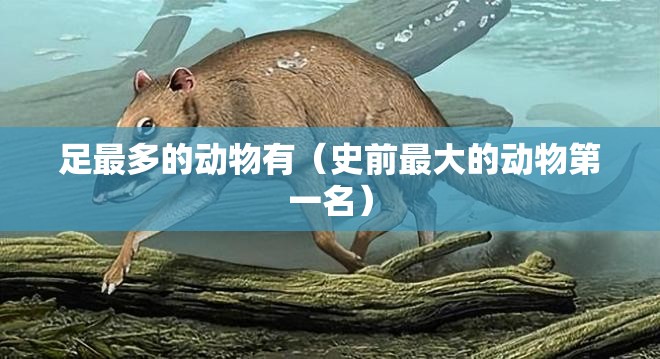 足最多的动物有（史前最大的动物第一名）