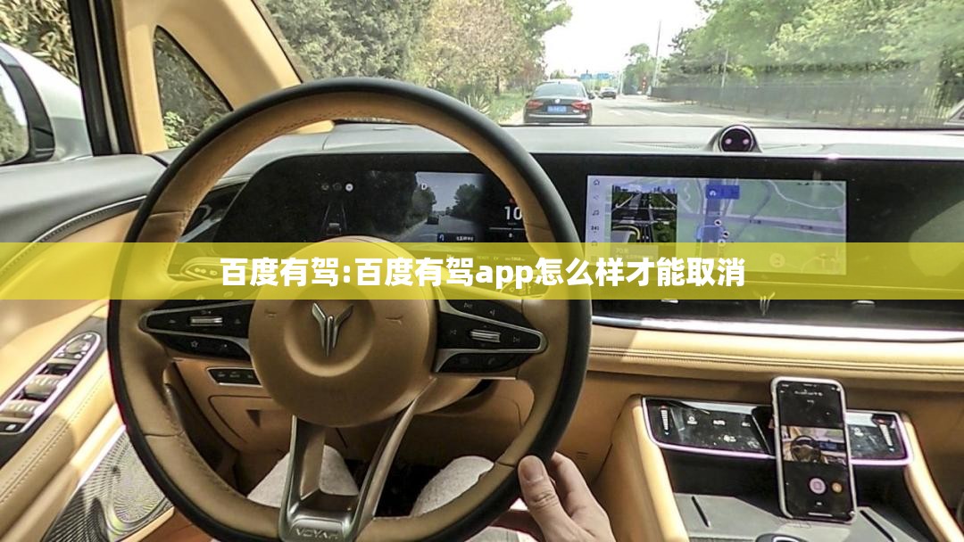 百度有驾:百度有驾app怎么样才能取消