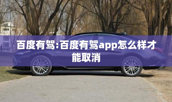 百度有驾:百度有驾app怎么样才能取消