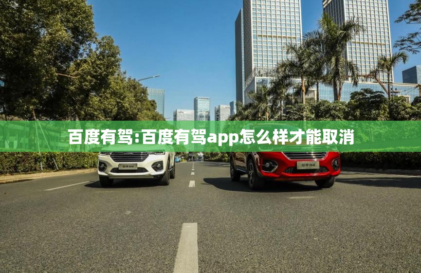 百度有驾:百度有驾app怎么样才能取消