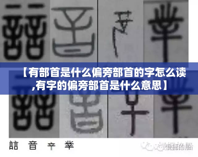 【有部首是什么偏旁部首的字怎么读,有字的偏旁部首是什么意思】