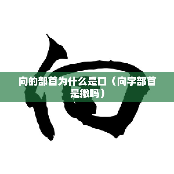 向的部首为什么是口（向字部首是撇吗）
